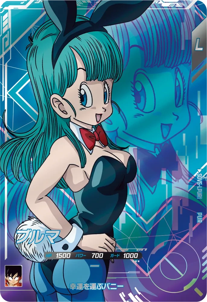 SDV5-LPUR1 ブルマ PUR